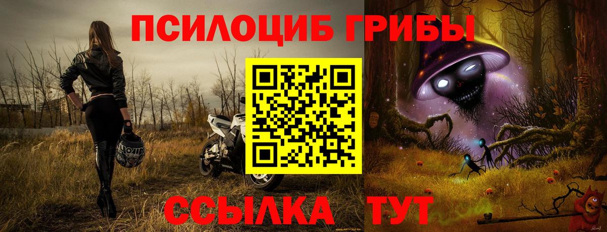 Павловский Посад  Галлюциногенные грибы мухоморы  где купить наркоту  Вход с VPN 